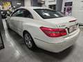 Mercedes-Benz E 350 CLASSE E 231CV CDI AVANTGARDE! 59.000KM_FATTURE!!! Wit - thumbnail 8