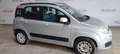 Fiat Panda Pequeño Manual de 5 Puertas Grau - thumbnail 1