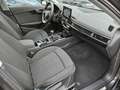 Audi A4 35 TFSI advanced 1. Hand/Scheckheft gepflegt/Head- Grau - thumbnail 11