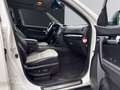 Kia Sorento Spirit 4WD Weiß - thumbnail 11