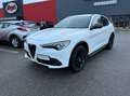 Alfa Romeo Stelvio 2.2 t B-Tech Q4 210cv auto Bianco - thumbnail 1