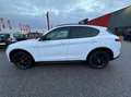 Alfa Romeo Stelvio 2.2 t B-Tech Q4 210cv auto Bianco - thumbnail 10