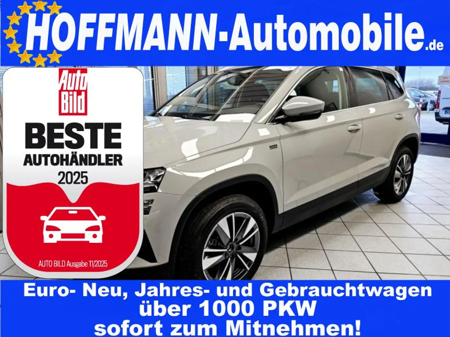 Skoda Karoq Tour AHK,Climatr,PDC+Kamera,beh. Frontsch. Grau - 1