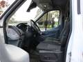 Ford Fiesta Transit 2T 2.2 TDCI 155 L4H3 TREND Blanc - thumbnail 5
