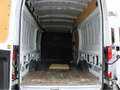 Ford Fiesta Transit 2T 2.2 TDCI 155 L4H3 TREND Blanc - thumbnail 14