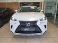 Lexus NX 300 h 2.5   HYBRID 4wd PREZZO REALE Bianco - thumbnail 3