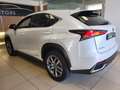 Lexus NX 300 h 2.5   HYBRID 4wd PREZZO REALE Bianco - thumbnail 5