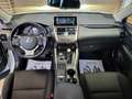 Lexus NX 300 h 2.5   HYBRID 4wd PREZZO REALE Bianco - thumbnail 8