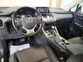 Lexus NX 300 h 2.5   HYBRID 4wd PREZZO REALE Bianco - thumbnail 7