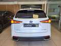 Lexus NX 300 h 2.5   HYBRID 4wd PREZZO REALE Bianco - thumbnail 6