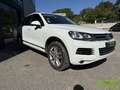 Volkswagen Touareg 3.0 V6 TDI 245ch BlueMotion FAP Carat Edition 4Mot Blanc - thumbnail 3