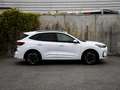 Ford Kuga ST-Line X 2.5 PHEV 243pk Automaat WINTER PACK | TR Blanc - thumbnail 4