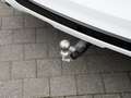 Ford Kuga ST-Line X 2.5 PHEV 243pk Automaat WINTER PACK | TR Blanc - thumbnail 19