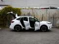 Ford Kuga ST-Line X 2.5 PHEV 243pk Automaat WINTER PACK | TR Blanc - thumbnail 43
