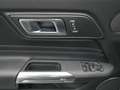 Ford Mustang Coupé BULLITT V8 460PS/MagneRide/ACC Grün - thumbnail 20