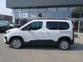 Peugeot Rifter MIX N1 1.2 PureTech 110cv M ALLURE M KM ZERO Bianco - thumbnail 4