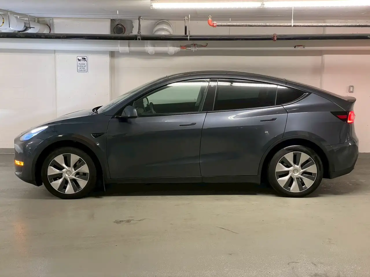 Tesla Model Y снимка Tesla Model Y