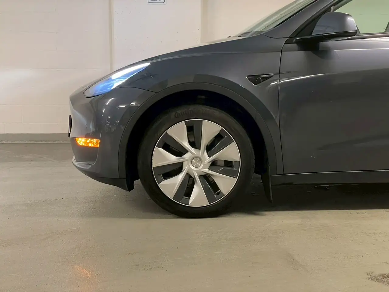 Tesla Model Y снимка Tesla Model Y