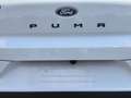 Ford Puma Titanium Weiß - thumbnail 9