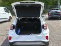 Ford Puma Titanium Weiß - thumbnail 10