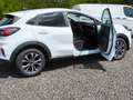 Ford Puma Titanium Weiß - thumbnail 4