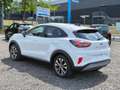 Ford Puma Titanium Weiß - thumbnail 11