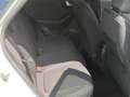 Ford Puma Titanium Weiß - thumbnail 6