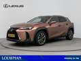 Lexus UX 300h F-Sport Line | Stoel /- Stuurwielverwarming | Park Bruin - thumbnail 1