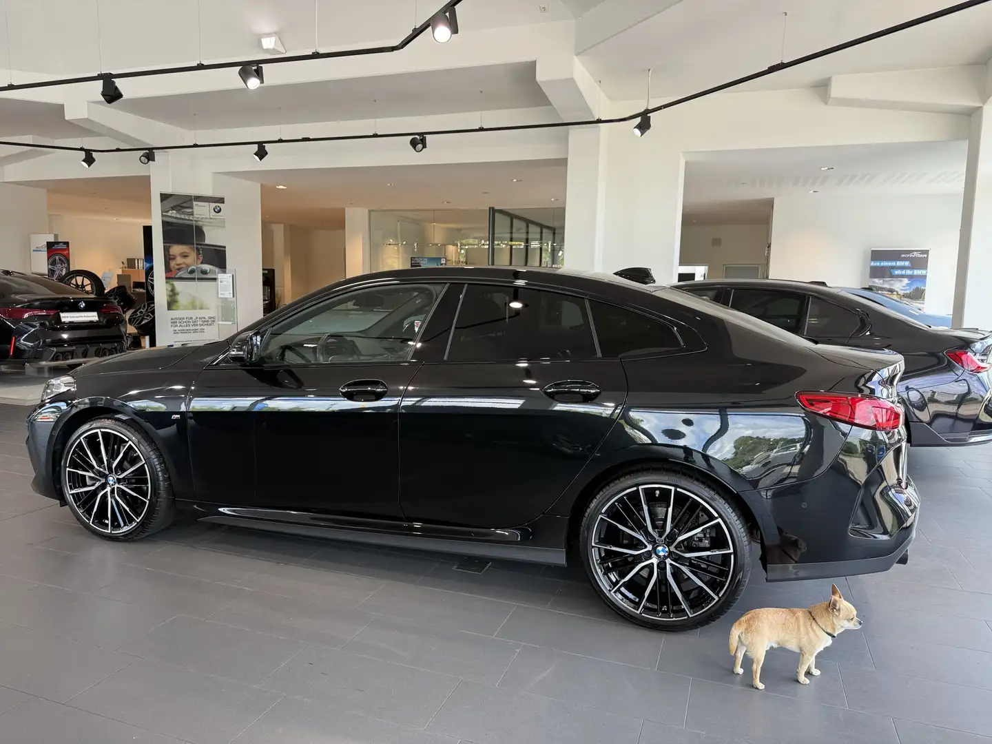 BMW 220 d xDrive MSport M Sport HK HiFi DAB LED WLAN Noir - 2