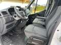 Renault Master Master Bus L2H2 Kastenwagen Weiß - thumbnail 5