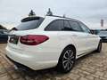Mercedes-Benz C 200 C T-Modell C 200 T d Weiß - thumbnail 6
