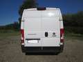 Fiat Ducato 2.3 MJET. 140 CV. L2H2 Bílá - thumbnail 7