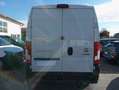 Fiat Ducato 2,3 MJT PASSO MEDIO TETTO ALTO L3H2 Bianco - thumbnail 4