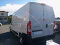 Fiat Ducato 2,3 MJT PASSO MEDIO TETTO ALTO L3H2 Bianco - thumbnail 5