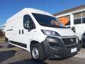Fiat Ducato 2,3 MJT PASSO MEDIO TETTO ALTO L3H2 Bianco - thumbnail 1