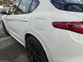 Alfa Romeo Stelvio ALFA ROMEO STELVIO 2.2 210CV Q4 90157-2020 Weiß - thumbnail 21