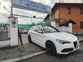 Alfa Romeo Stelvio ALFA ROMEO STELVIO 2.2 210CV Q4 90157-2020 Weiß - thumbnail 5