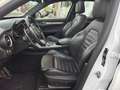 Alfa Romeo Stelvio ALFA ROMEO STELVIO 2.2 210CV Q4 90157-2020 Weiß - thumbnail 10