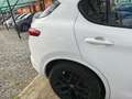 Alfa Romeo Stelvio ALFA ROMEO STELVIO 2.2 210CV Q4 90157-2020 Weiß - thumbnail 28