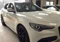 Alfa Romeo Stelvio Stelvio 2.2 t Veloce Q4 210cv auto BIANCO BELGIO Blanc - thumbnail 6