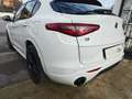 Alfa Romeo Stelvio ALFA ROMEO STELVIO 2.2 210CV Q4 90157-2020 Weiß - thumbnail 20