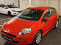 Fiat Punto Italia 1,2 69 Easy - thumbnail 9