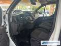 Ford Transit Custom Tourneo 320 L2 Trend 2.0 TDCi  Dyn. Kurvenlicht DA Weiß - thumbnail 14