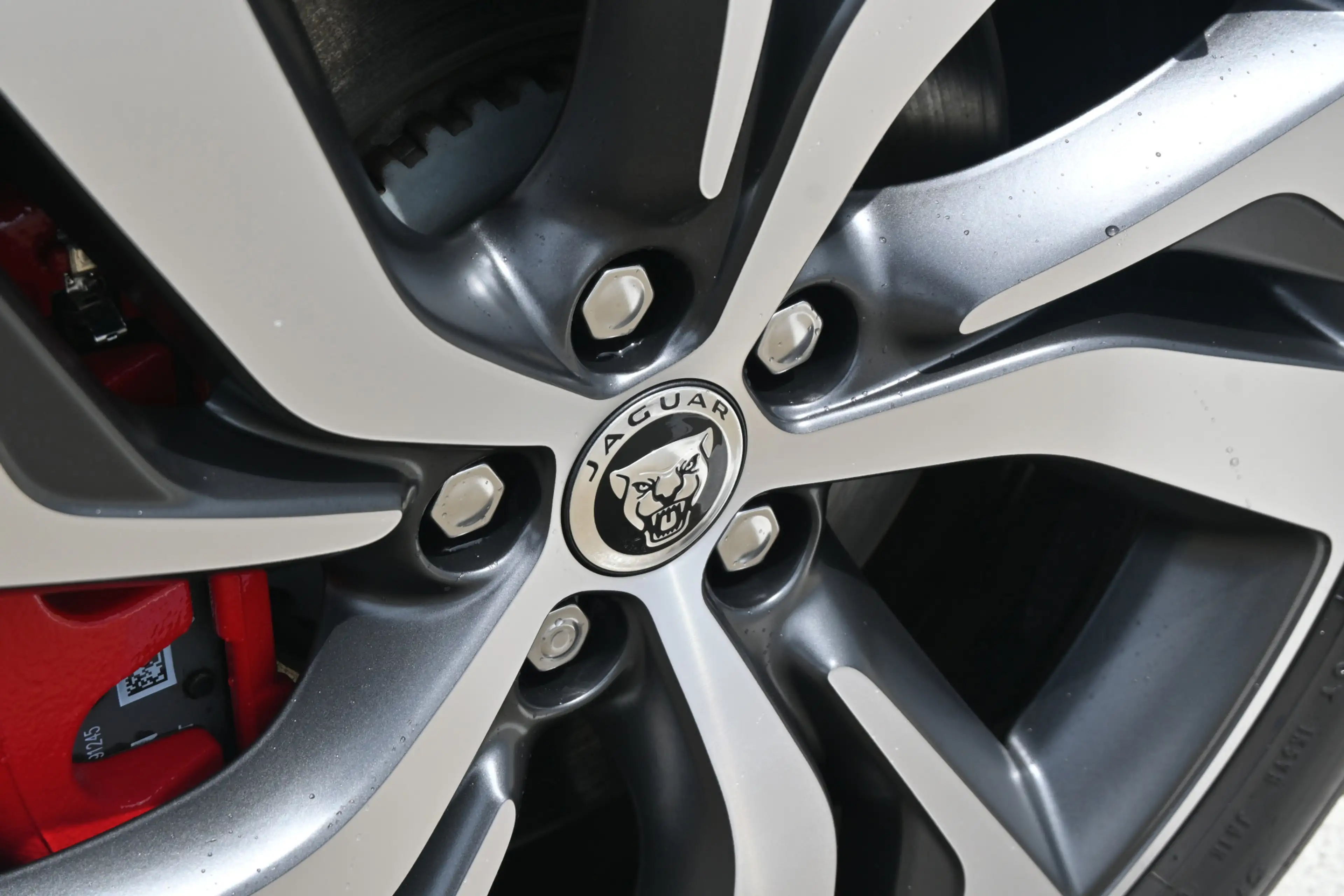 Jaguar E-Pace 1.5 P300e AWD R-Dynamic HSE — photo 12