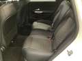 Mercedes-Benz B 200 Progressive/Multibeam/360°Kamera/Distronic Weiß - thumbnail 14