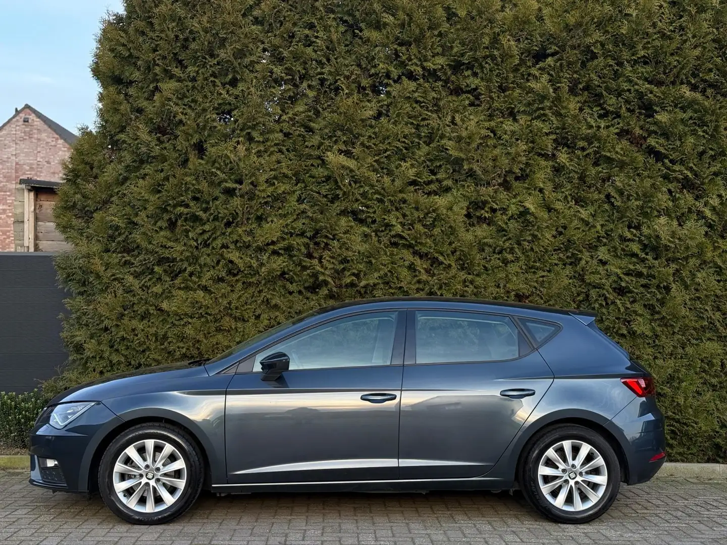SEAT Leon 1.0 EcoTSI Style CarPlay Automaat Gris - 2