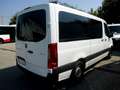 Mercedes-Benz Sprinter Tourer 215 CDI 3,19t Standard / Normal Aut. Weiß - thumbnail 3