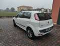 Fiat Punto Evo 5p 1.4 natural power 150th 70cv Bianco - thumbnail 4