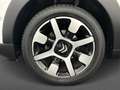 Citroen C4 Cactus PureTech 110pk Shine Blanco - thumbnail 11