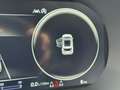 Kia Ceed / cee'd 1.5 T-GDI 140 PS DCT GT-line Weiß - thumbnail 14